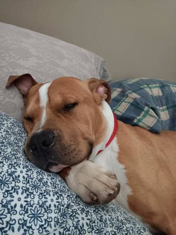 Cash, adopted
