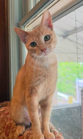 Thelma, adopted