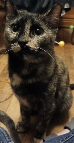Louise, adopted