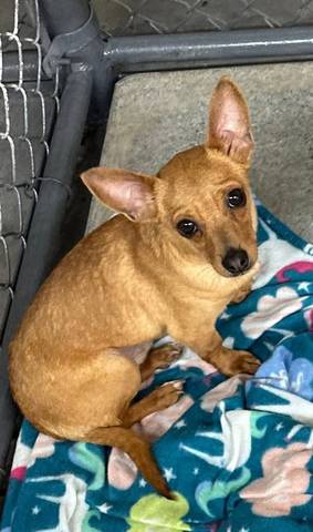 Ralph, adopted