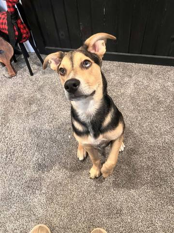 Billy, adopted