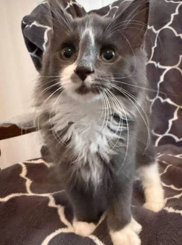 Margo, adopted