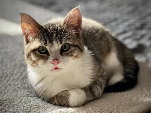 Betty, adopted