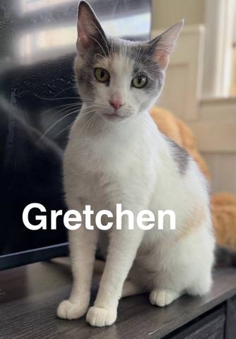 Gretchen, adopted