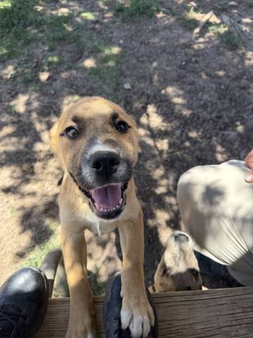 Alan, adopted